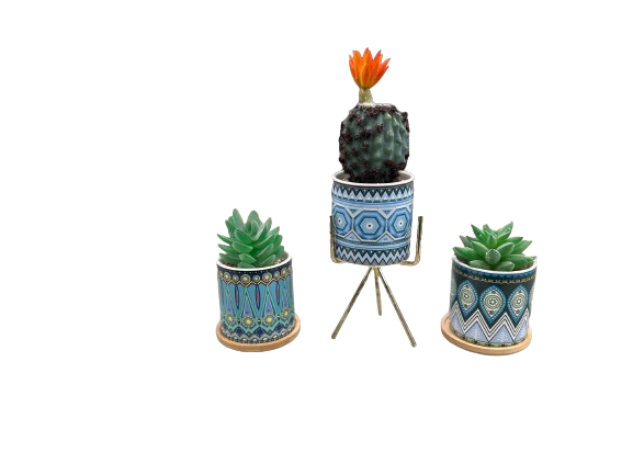 Bohemian Style Succulent Planter Set