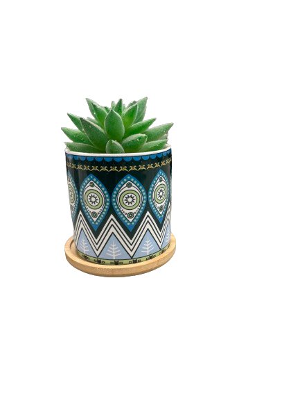 Bohemian Style Succulent Planter Set