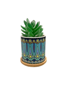 Bohemian Style Succulent Planter Set